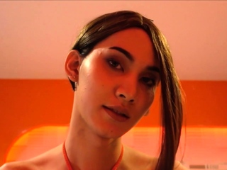 Slender amateur ladyboy girlfriend anal